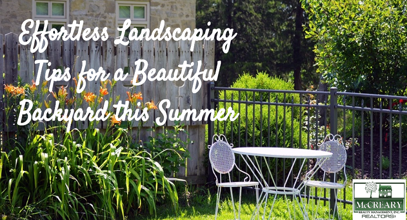 Effortless Landscaping Tips for a Beautiful Backyard this Summer