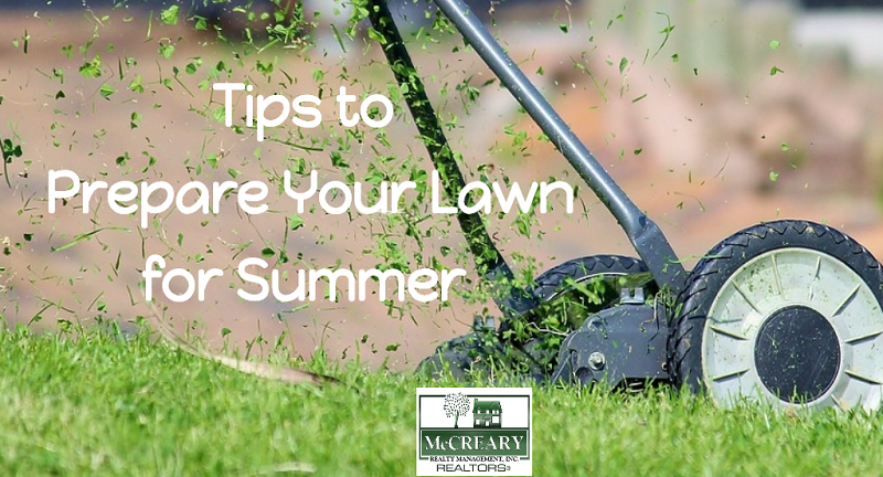 Tips to Prepare Your Lawn for Summer