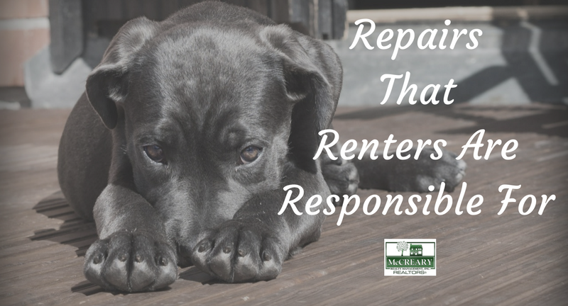 Repairs That Renters Are Responsible For