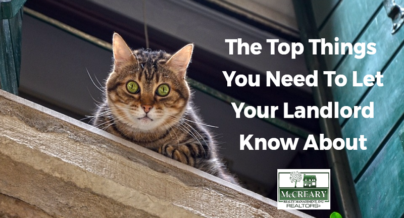 The Top Things You Need To Let Your Landlord Know About