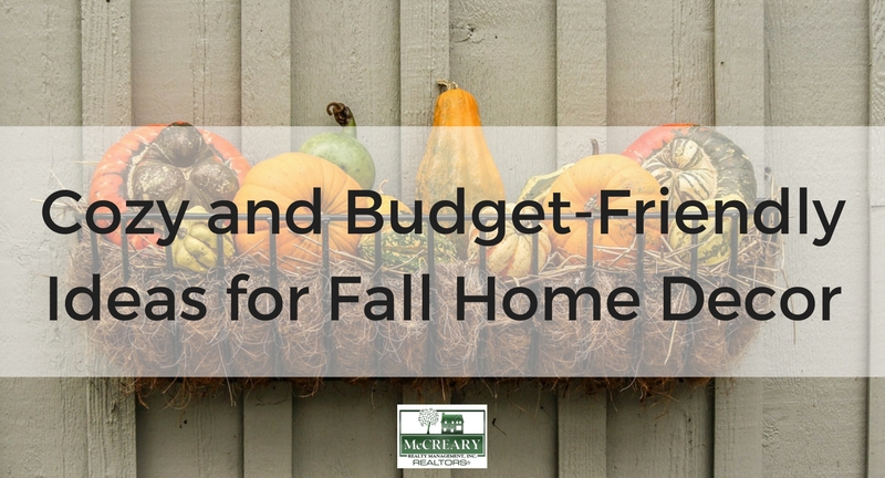 Cozy and Budget-Friendly Ideas for Fall Home Decor