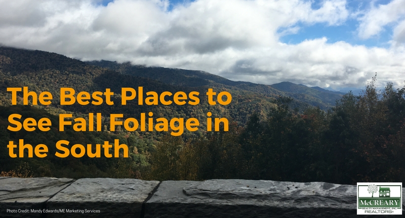 The Best Places to See Fall Foliage in the South